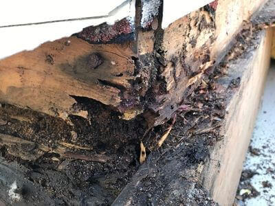 Professional water damage restoration services in Gilbert - Gilbert Water Damage Restoration